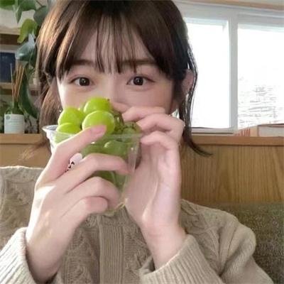 饿狼传：孤狼之道